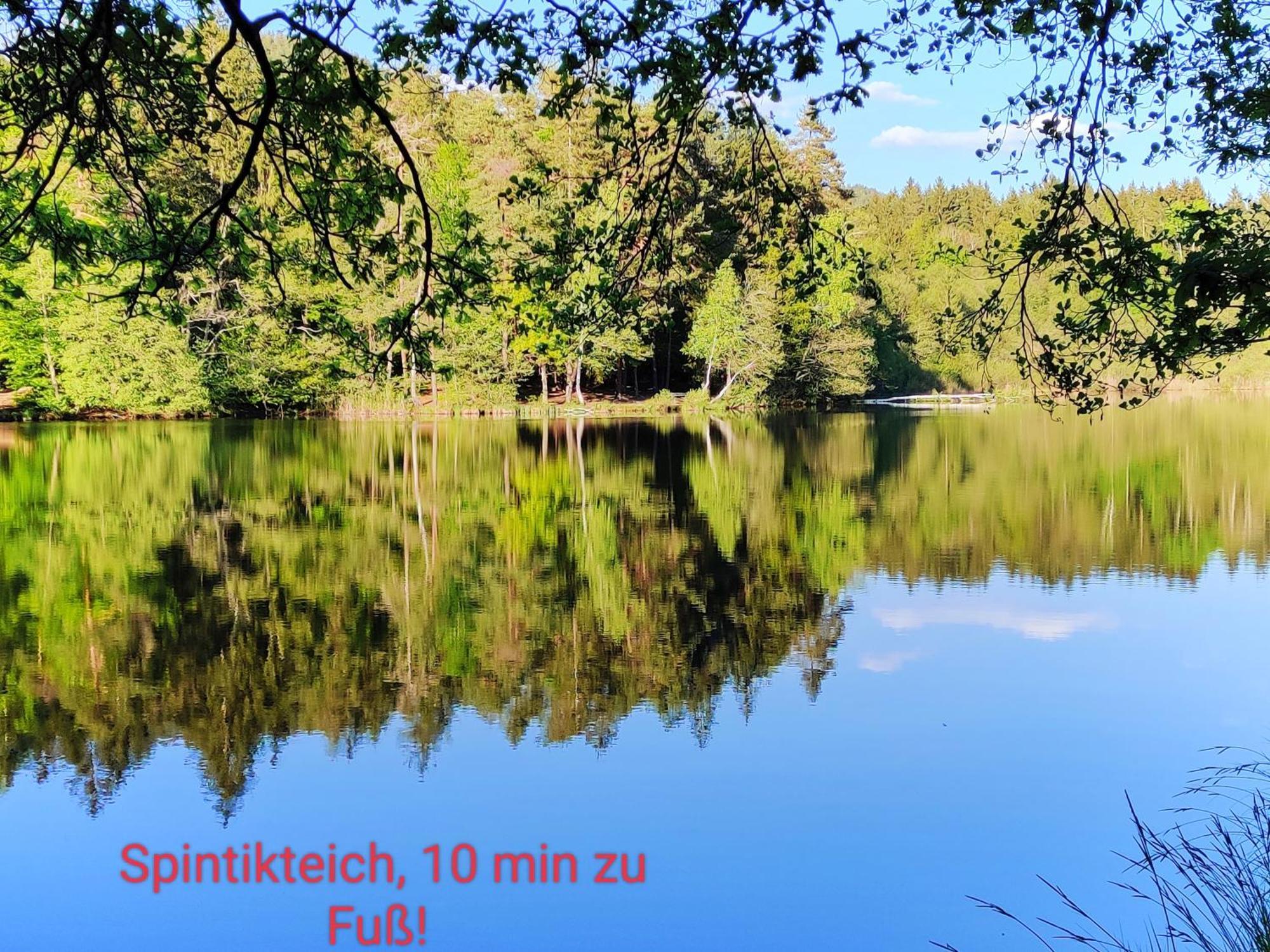 Wellness Apartment Keutschach Lakes Valley Койтшах ам Зее Екстериор снимка
