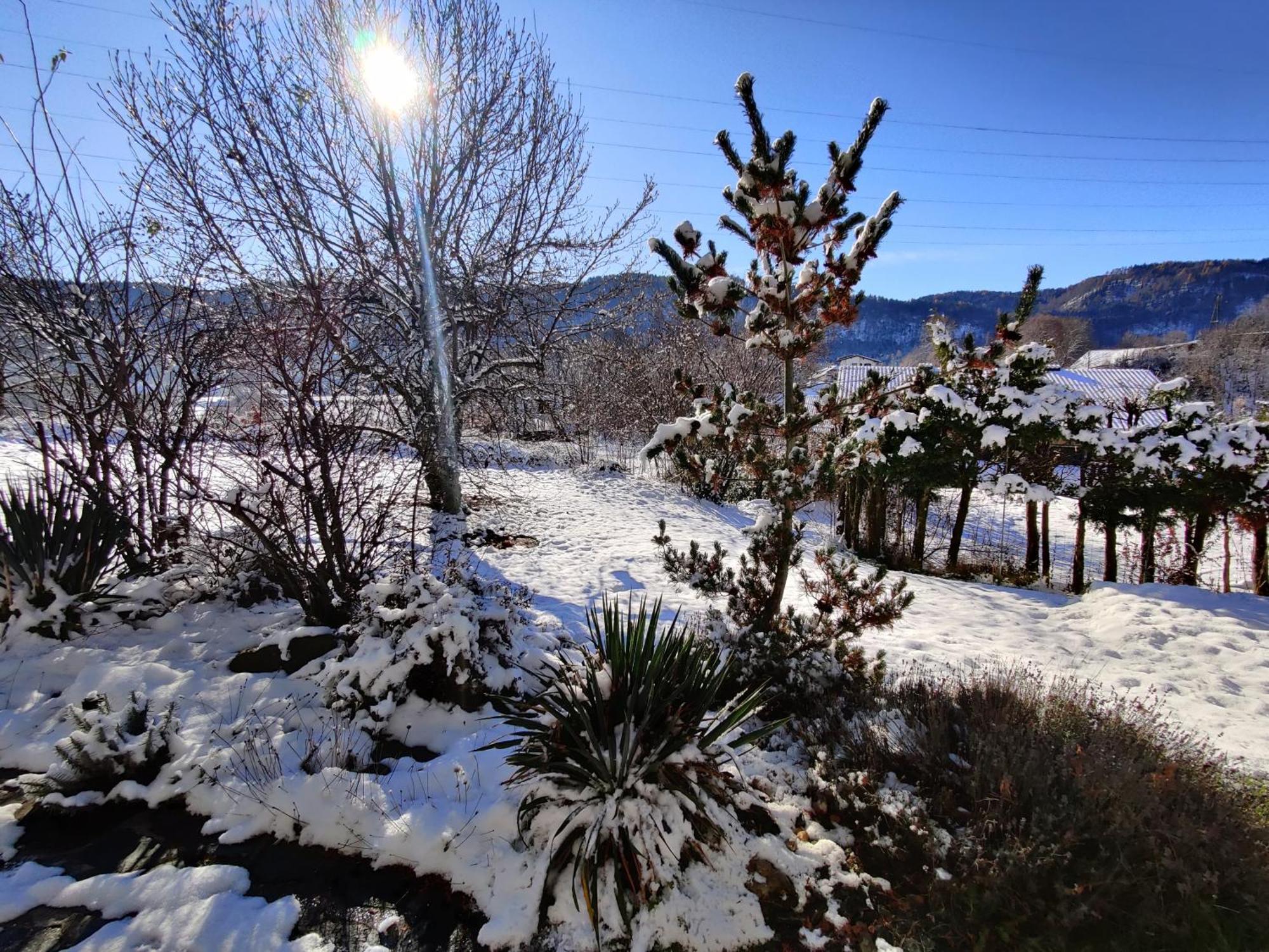 Wellness Apartment Keutschach Lakes Valley Койтшах ам Зее Екстериор снимка